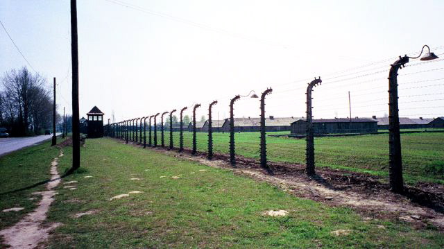 Auschwitz - 17