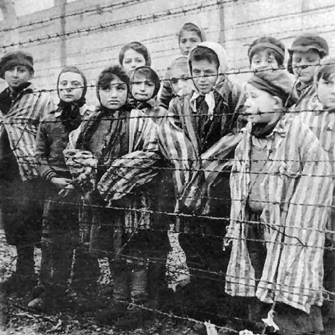 Auschwitz - 33