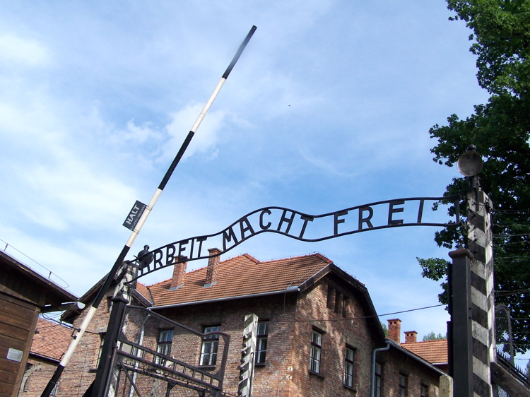Auschwitz - 8