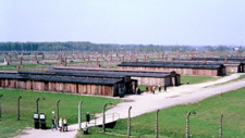 Auschwitz - 15
