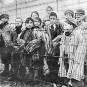 Auschwitz - 33