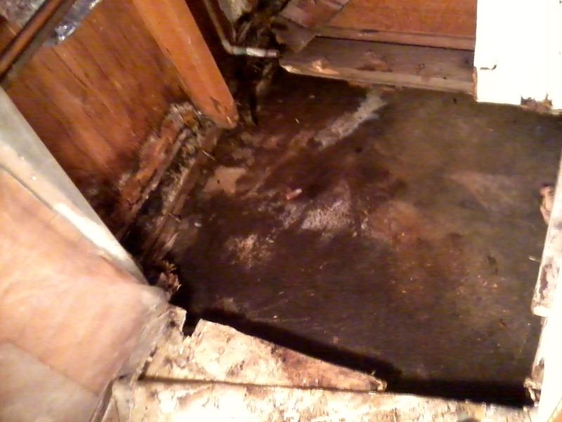 Cleaned out floor rot