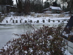 Winter2008  - 7