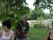 Cuba-Botanical - 14