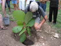 Cuba-Botanical - 17