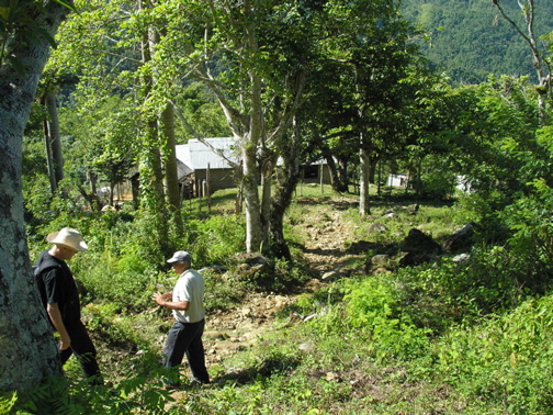 Cuba-SierraMaestra - 10